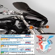 Лобовое стекло VStream N28209 тонированое - Boulevard M90 & Boulevard M50 Euro (09-10)